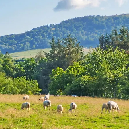 Blencathra View - Uk50085 * Penruddock